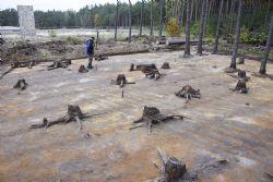  The excavations at Sobibór uncovered signs of mechanical equipment used by the Nazis to dismantle the camp